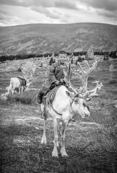 Jonge Tsaatan Jongen Met Rendieren Het Noorden Van Mongolië — Stockfoto