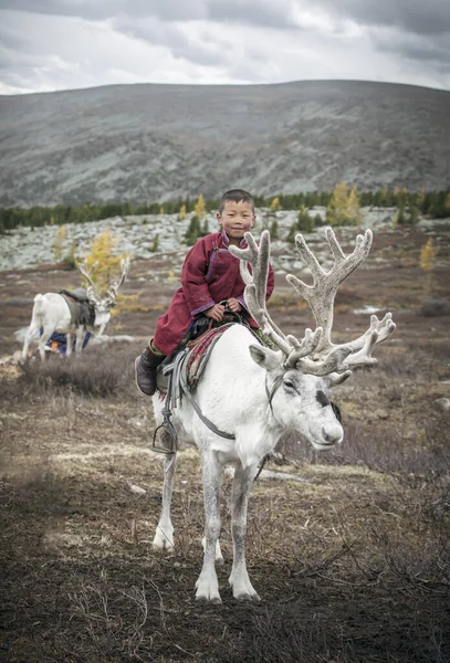 Mladý Tsaatan Chlapec Soby Severní Mongolsku — Stock fotografie