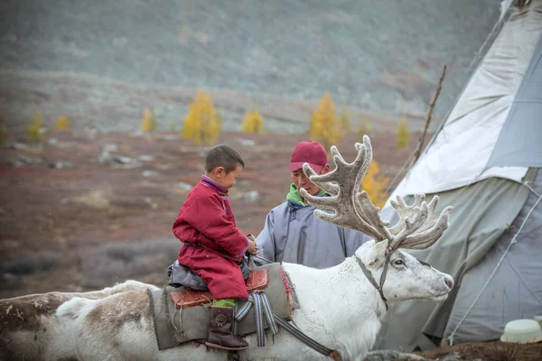 Jong Tsaatan Jongen Rijden Een Rendier Het Noorden Van Mongolië — Stockfoto