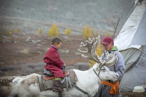 Jong Tsaatan Jongen Rijden Een Rendier Het Noorden Van Mongolië — Stockfoto