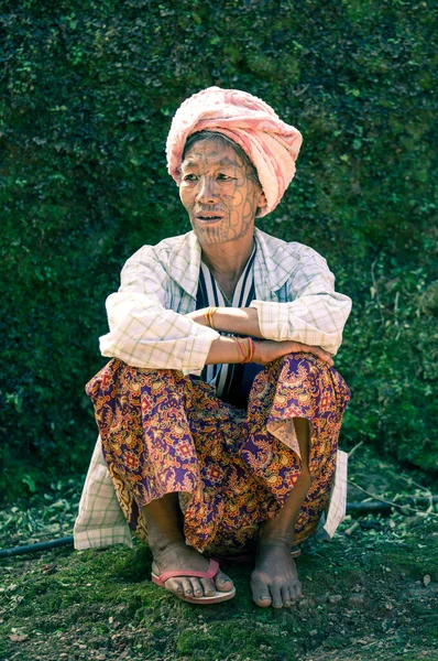 Chin Region Μιανμάρ Νοεμβρίου 2014 Φυλετική Κυρία Τατουάζ Στο Πρόσωπο — Φωτογραφία Αρχείου