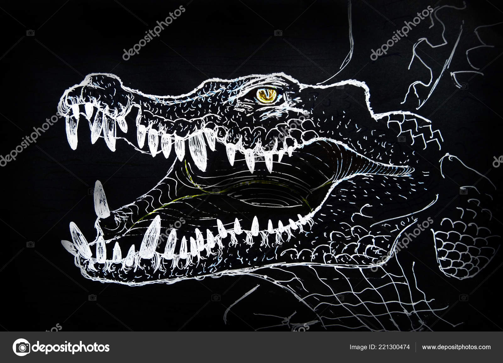 Crocodile - kcavender - Drawings & Illustration, Animals, Birds, & Fish,  Reptiles & Amphibians, Alligators & Crocodiles - ArtPal
