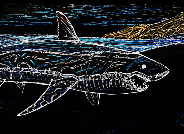 White shark - drawing by white pen on black background