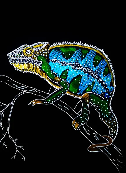 Chameleon Jasný Vzor Černé Bílé Pozadí — Stock fotografie