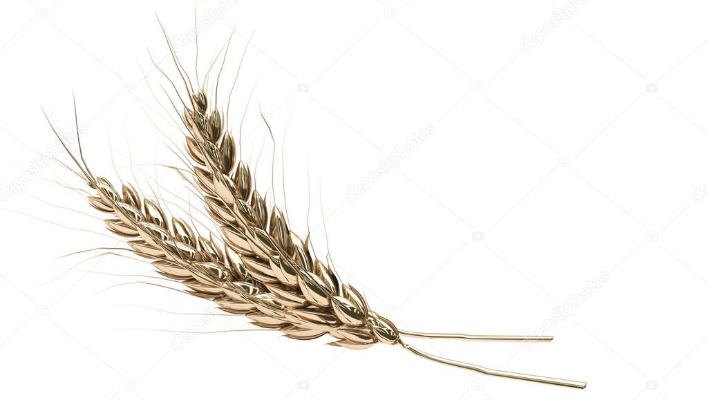 Two golden spikelets on a white background. Banner with free space for text. 3D rendering.
