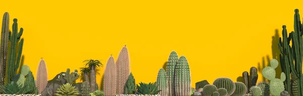 Group of cacti, aloe and succulent plants isolated on yellow background. Long banner for website header or other projects with space for text or logo. Front view. 3D rendering.