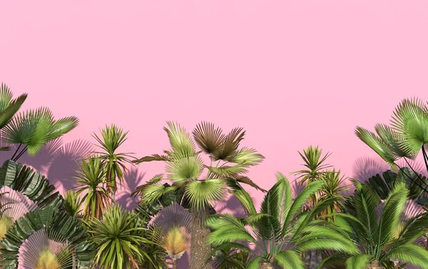 绿色棕榈树和热带异国情调的植物在粉红色的背景与复制空间 概念创意插图 — 图库照片