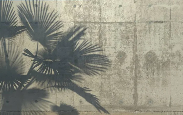 Palm leaves cast a shadow on the concrete wall. Conceptual creative illustration with copy space. Concrete jungle. 3D rendering.