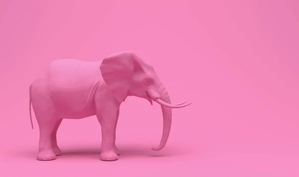 Un elefant roz realist, izolat pe un fundal roz. Ilustrație monocromă conceptuală creativă cu spațiu de copiere. Redare 3D . — Fotografie, imagine de stoc