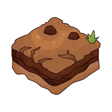 Toprak: Koyu kahverengi toprak kaba bir dokuya sahip.