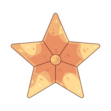 Noel yıldızı, Beytüllahim yıldızını temsil eden dekoratif bir semboldür..