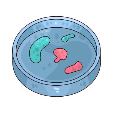 Petri kabı, kültür mikroorganizmalarında kullanılan sığ ve yuvarlak bir kaptır..