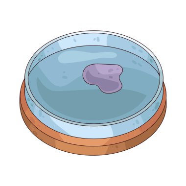 Petri kabı, kültür bakterileri ve diğer mikroorganizmalarda kullanılan sığ bir kaptır..