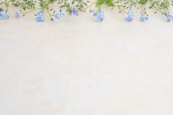 Açık bir arka plan üzerinde mavi miyosotis çiçekler. Albüm ve kartpostal oluşturmanın temeli. Çiçekler - unutulmaz anların sembolü. Öğretmenler günün kutlu olsun. Okula geri dön