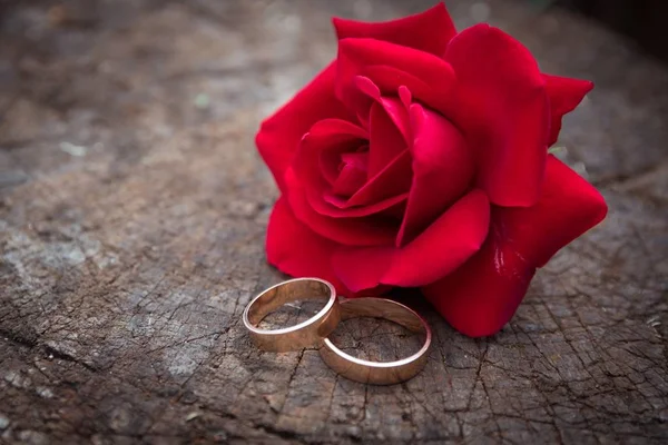 愛とバーガンディの新婚夫婦の結婚指輪は 木製のテクスチャと背景にバラ — ストック写真