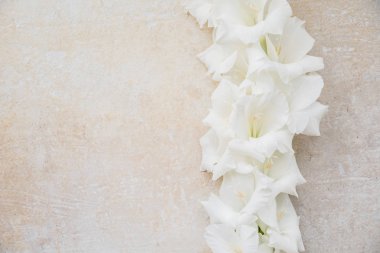 Beyaz gladioli dokulu yüzeyde yatıyor. Yazıtlar için yan alan. Düğün veya tatil tebrik için tebrik kartı. Üstte görüntü