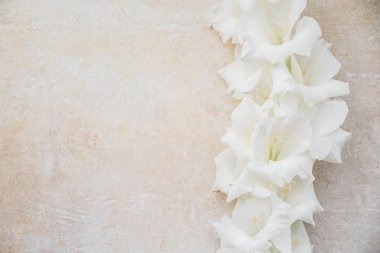 Beyaz gladioli dokulu yüzeyde yatıyor. Yazıtlar için yan alan. Düğün veya tatil tebrik için tebrik kartı. Üstte görüntü
