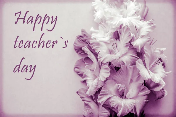 Happy teacher`s day. Happy teachers day. Greetings card for teacher\'s day. Postcard with colorful gladiolus