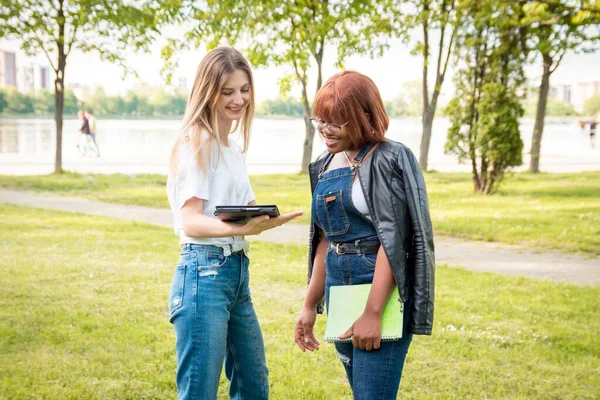 Twee Vrouwelijke Studenten Communiceren Het Park Vrolijk Gesprek Riznonatsionalnyh Meisjes — Stockfoto