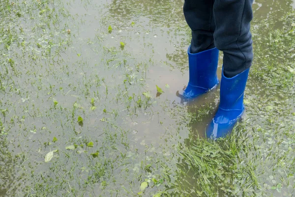 The child stands in the garden in the water, feet in rainfoot. The garden is flooded. Consequences of downpour, flood. Rainy summer