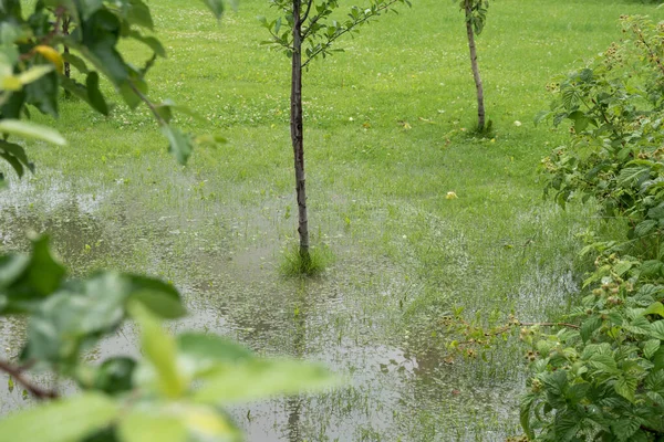 The garden and yard are flooded. Consequences of downpour, flood. Rainy summer in Ukraine, 2020