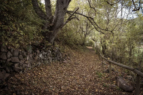 Concept Suivre Route Balisée Chemin Dans Paysage Naturel Aux Couleurs — Photo