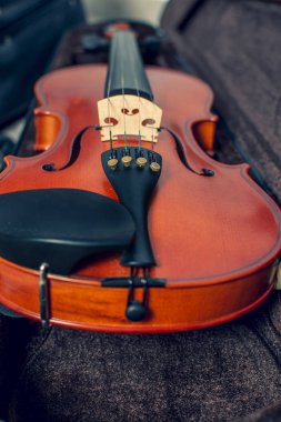 Eski meşe ahşap keman. Vintage sesi görüntü.