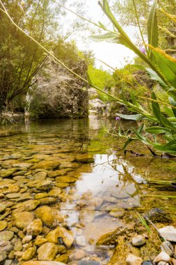Dağlar, taşlar ve bitki örtüsü arasında geçen nehir.