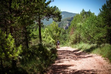 Genç bir çocuk köpeğiyle dağların ortasında yürüyor..
