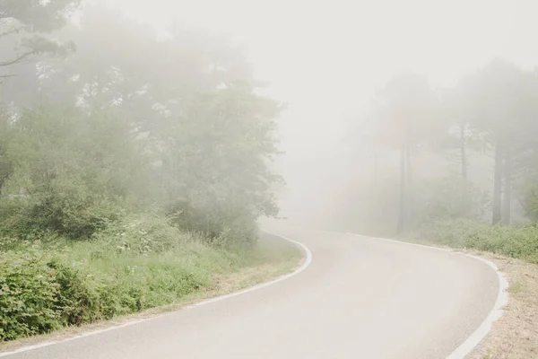 Curva Estrada Que Desaparece Meio Nevoeiro — Fotografia de Stock