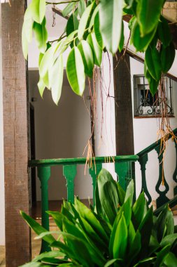 Anka de Sant Gaiet 'te, Tarragona' da, İspanya 'da Katalonya' da beyaz sarayların manzarası. Ekim 2020 'de yapıldı..