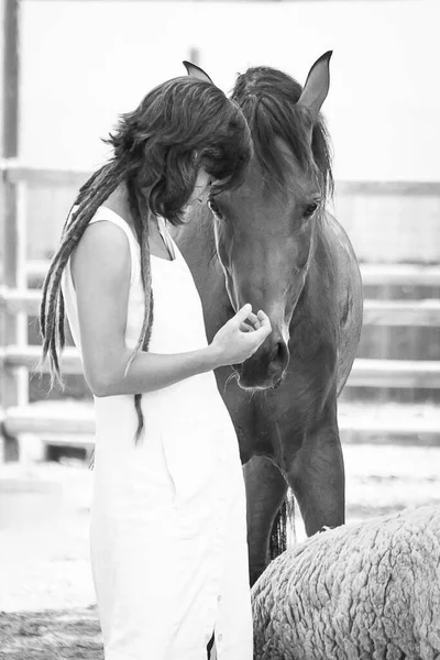 Mujer Con Rastas Vestido Blanco Posando Con Caballo —  Fotos de Stock