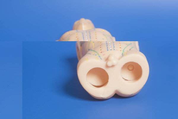 Medical acupuncture model of human