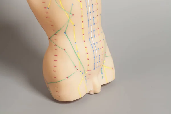 Medische Acupunctuur Model Van Mens Een Grijze Achtergrond — Stockfoto