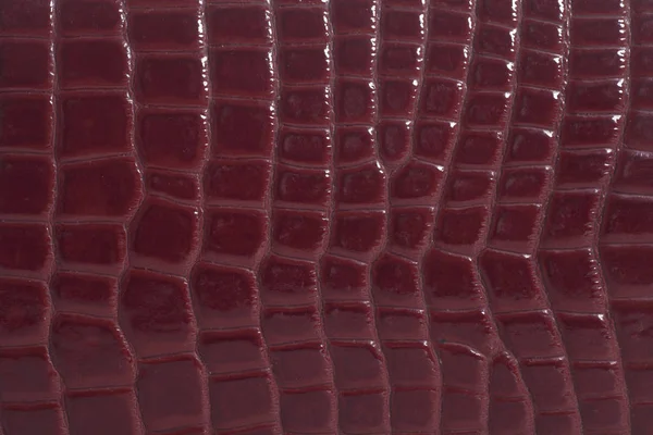 Snake Skin Läder Textur Bakgrund Närbild — Stockfoto