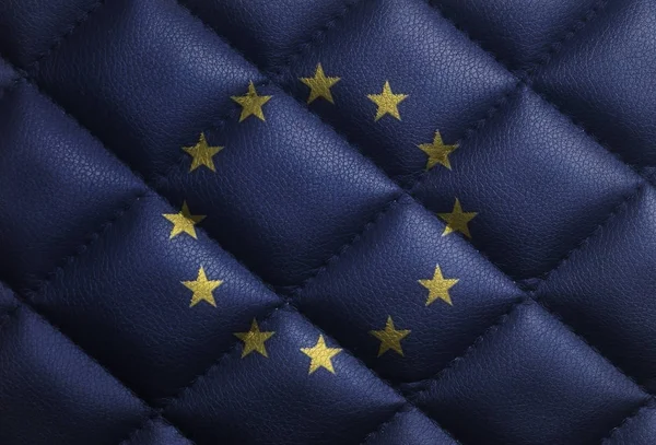 Bandiera Dell Unione Europea Texture Pelle Sfondo Primo Piano — Foto Stock