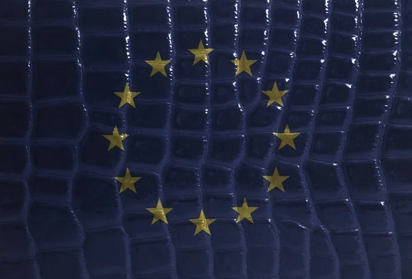 Drapeau Union Européenne Sur Fond Texture Cuir Serpent Gros Plan — Photo