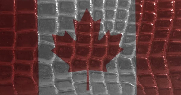 Bandera Canadá Sobre Una Piel Serpiente Textura Cuero Fondo Cerca — Foto de Stock