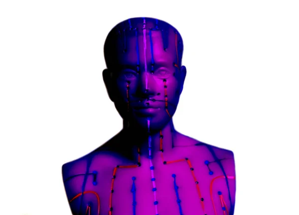 Медицинская Акупунктурная Модель Человека Белом Фоне — стоковое фото