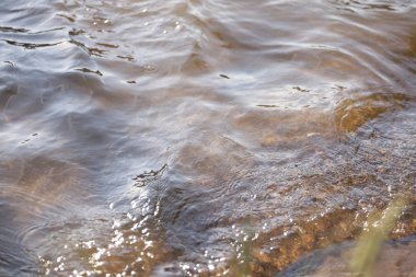 Makro doku dalgalar Nehri üzerinde Kapat
