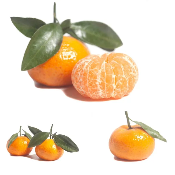 Érett mandarin, zöld levelekkel — Stock Fotó