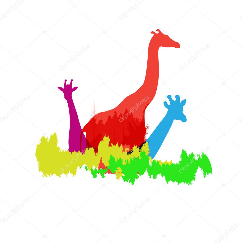 Giraffe logo. on black background. vector. Illustration. logo. symbol. abstract. design. Animals. landscape