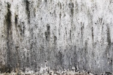 Grunge beton doku arka plan. İnşaat