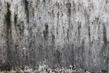 Grunge beton doku arka plan. İnşaat