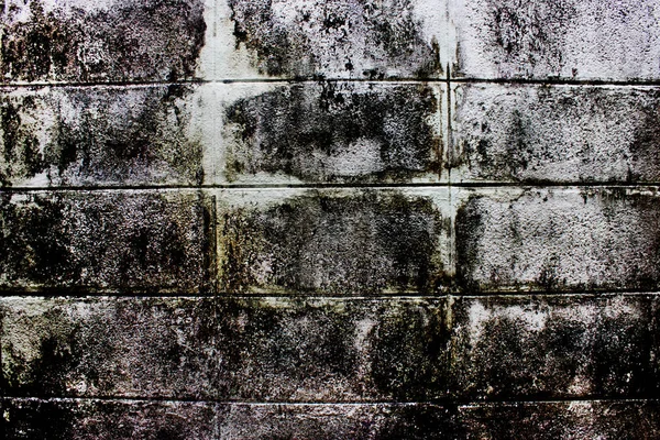 Concrete block wall of Cement block