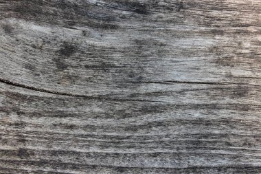 Eski grunge ahşap doku arka plan. Beyaz ve siyah. Fotoğraf