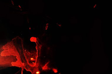 siyah bir zemin üzerine kırmızı arka plan. Fotoğraf