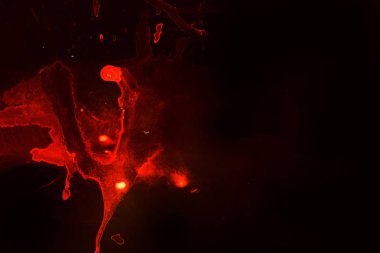 siyah bir zemin üzerine kırmızı arka plan. Fotoğraf