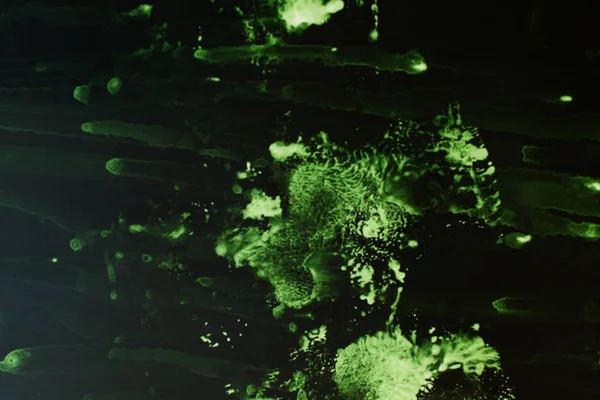 siyah zemin üzerine yeşil soyut doku 