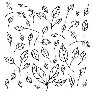 Vektör siyah ve beyaz yaprak Yaprakları desen. Basit tek renkli fl